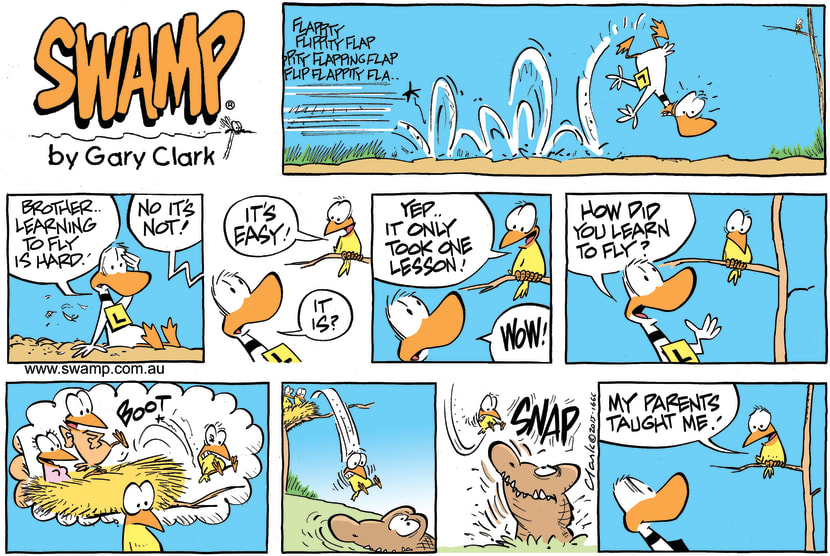 Swamp Cartoon - Learning to FlyFebruary 19, 2023